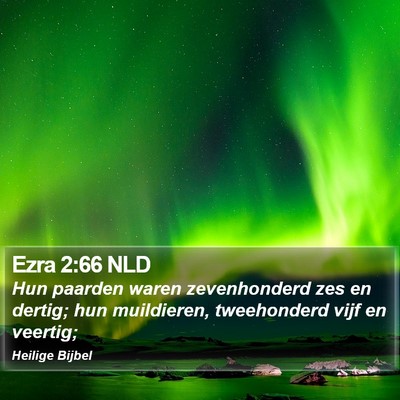 Ezra 2:66 NLD Bible Verse Image