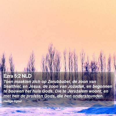 Ezra 5:2 NLD Bible Verse Image