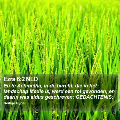 Ezra 6:2 NLD Bible Verse Image