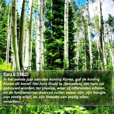 Ezra 6:3 NLD Bible Verse Image