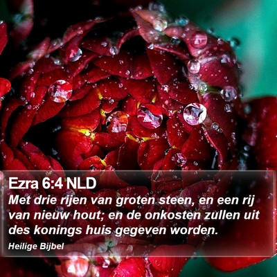 Ezra 6:4 NLD Bible Verse Image