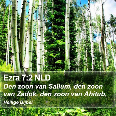Ezra 7:2 NLD Bible Verse Image