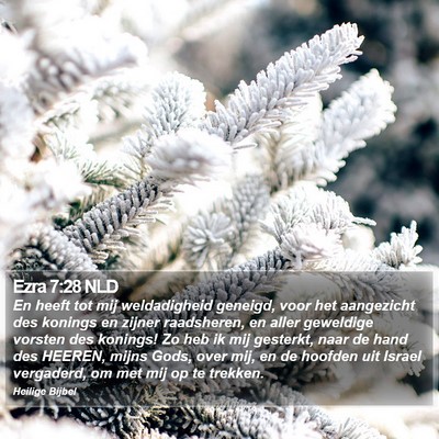 Ezra 7:28 NLD Bible Verse Image