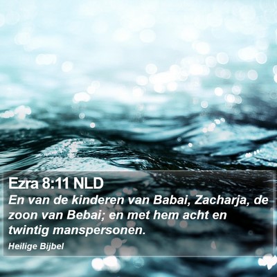 Ezra 8:11 NLD Bible Verse Image