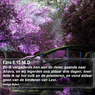 Ezra 8:15 NLD Bible Verse Image