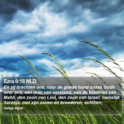 Ezra 8:18 NLD Bible Verse Image