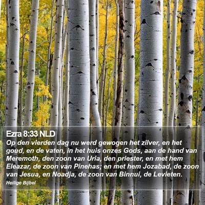 Ezra 8:33 NLD Bible Verse Image