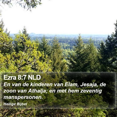 Ezra 8:7 NLD Bible Verse Image