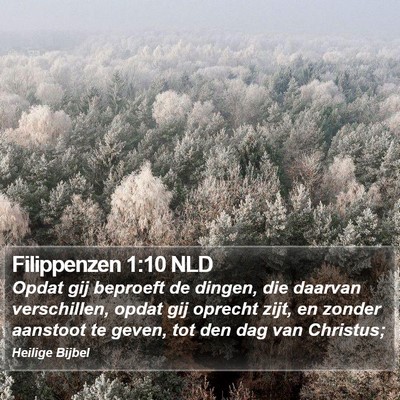 Filippenzen 1:10 NLD Bible Verse Image