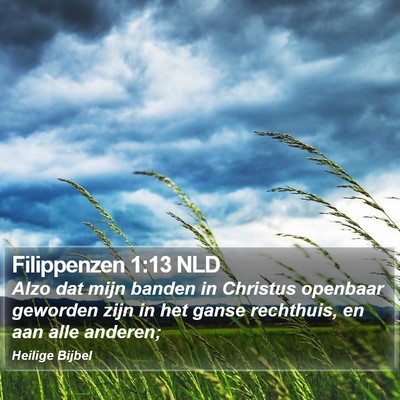 Filippenzen 1:13 NLD Bible Verse Image