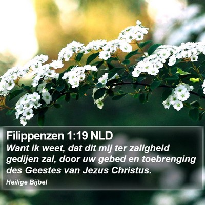 Filippenzen 1:19 NLD Bible Verse Image