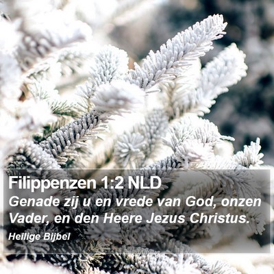 Filippenzen 1:2 NLD Bible Verse Image