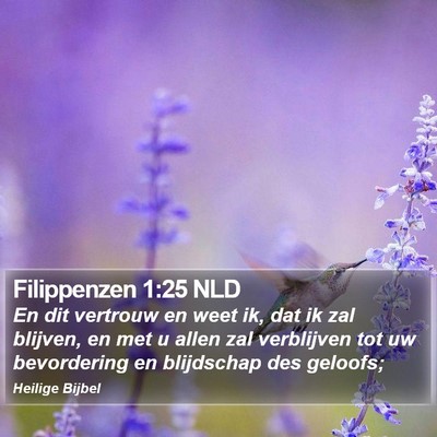 Filippenzen 1:25 NLD Bible Verse Image