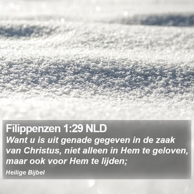 Filippenzen 1:29 NLD Bible Verse Image