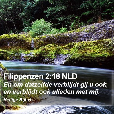 Filippenzen 2:18 NLD Bible Verse Image