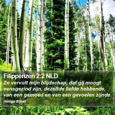 Filippenzen 2:2 NLD Bible Verse Image