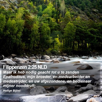Filippenzen 2:25 NLD Bible Verse Image