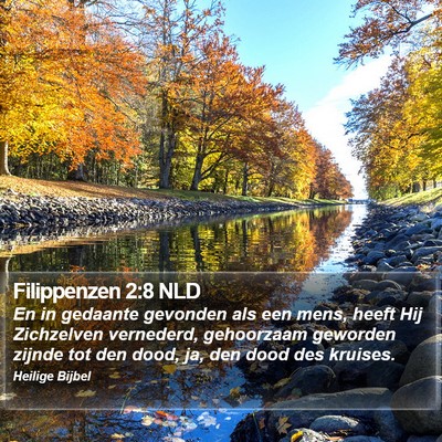Filippenzen 2:8 NLD Bible Verse Image