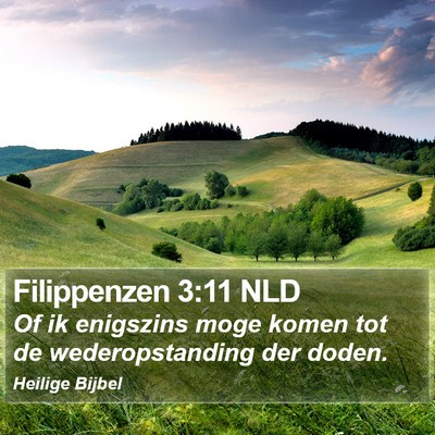 Filippenzen 3:11 NLD Bible Verse Image