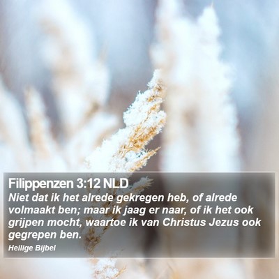 Filippenzen 3:12 NLD Bible Verse Image