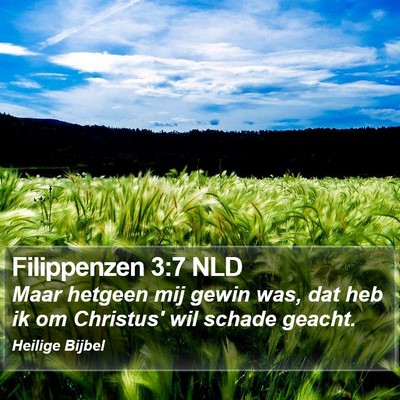 Filippenzen 3:7 NLD Bible Verse Image