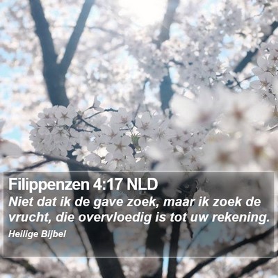 Filippenzen 4:17 NLD Bible Verse Image