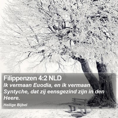 Filippenzen 4:2 NLD Bible Verse Image