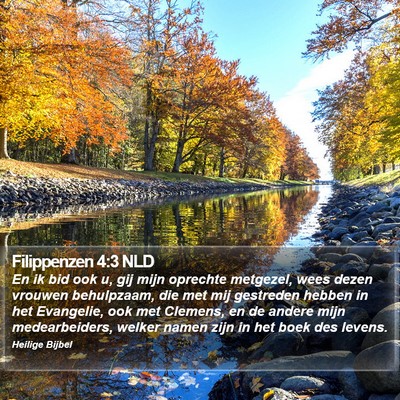 Filippenzen 4:3 NLD Bible Verse Image