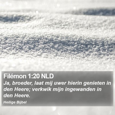 Filémon 1:20 NLD Bible Verse Image
