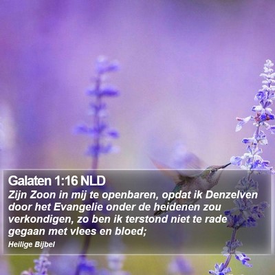 Galaten 1:16 NLD Bible Verse Image