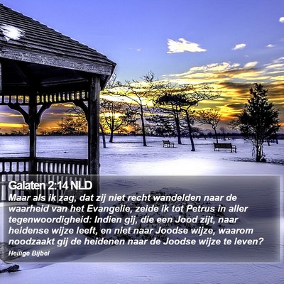 Galaten 2:14 NLD Bible Verse Image
