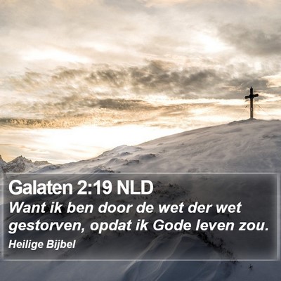 Galaten 2:19 NLD Bible Verse Image