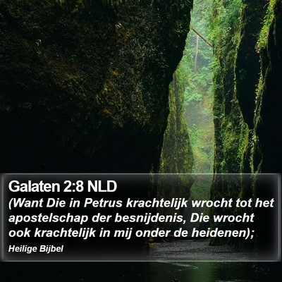 Galaten 2:8 NLD Bible Verse Image
