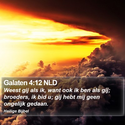Galaten 4:12 NLD Bible Verse Image