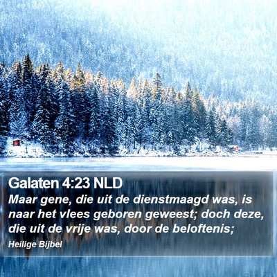 Galaten 4:23 NLD Bible Verse Image