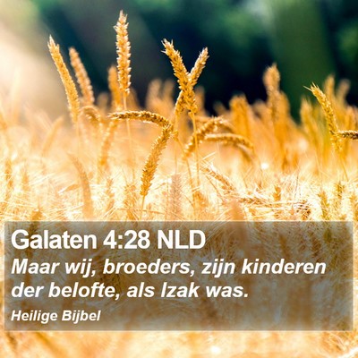 Galaten 4:28 NLD Bible Verse Image