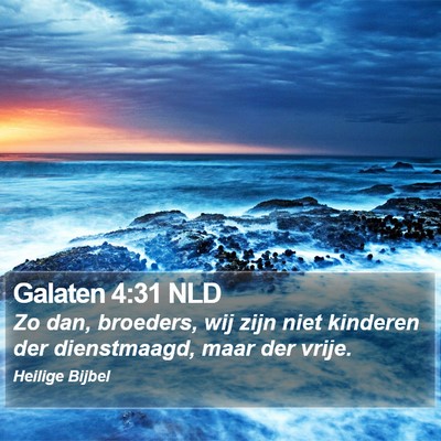 Galaten 4:31 NLD Bible Verse Image