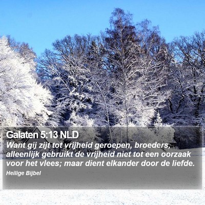 Galaten 5:13 NLD Bible Verse Image