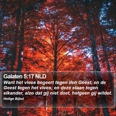Galaten 5:17 NLD Bible Verse Image