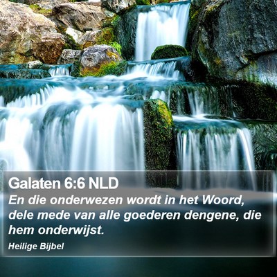 Galaten 6:6 NLD Bible Verse Image