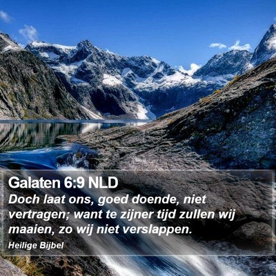 Galaten 6:9 NLD Bible Verse Image