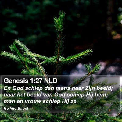 Genesis 1:27 NLD Bible Verse Image