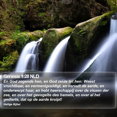 Genesis 1:28 NLD Bible Verse Image