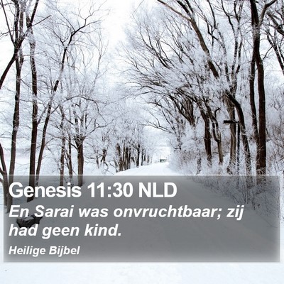 Genesis 11:30 NLD Bible Verse Image
