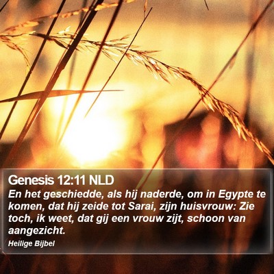 Genesis 12:11 NLD Bible Verse Image