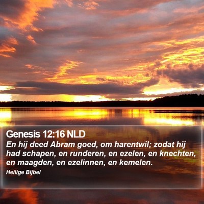 Genesis 12:16 NLD Bible Verse Image