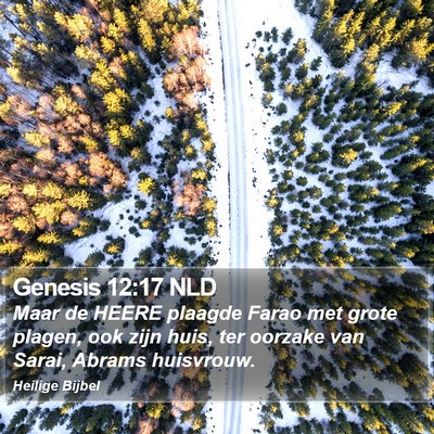 Genesis 12:17 NLD Bible Verse Image