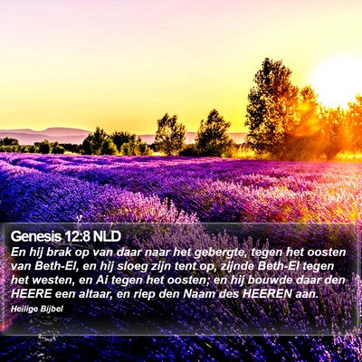 Genesis 12:8 NLD Bible Verse Image