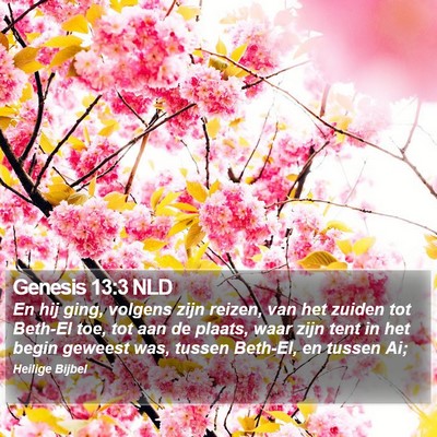 Genesis 13:3 NLD Bible Verse Image