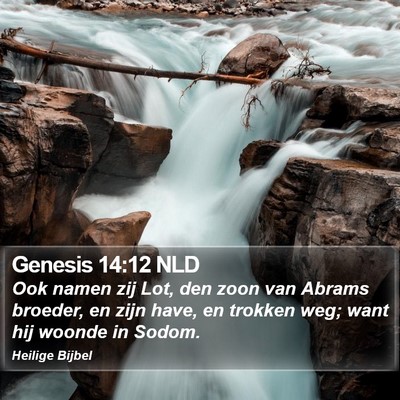 Genesis 14:12 NLD Bible Verse Image